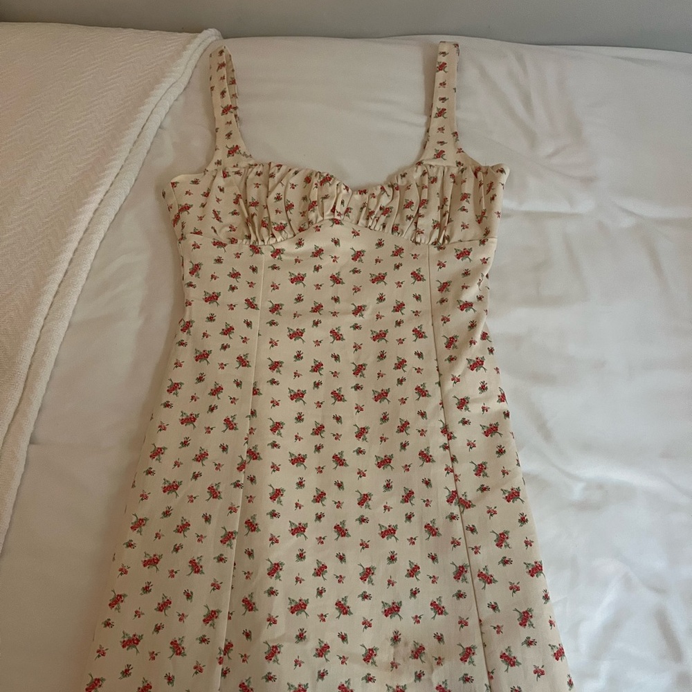 Floral Rose Fitted Zara Mini Dress
